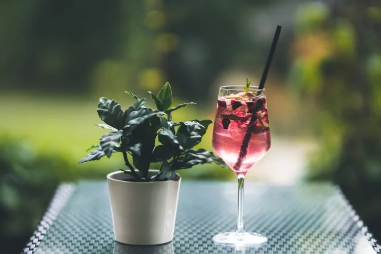 drinki szczawnica solar